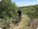 provence2012_172.jpg