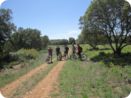 provence2012_183.jpg