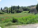 provence2012_188.jpg