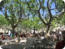 provence2012_202.jpg