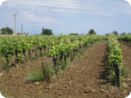 provence2012_977.jpg