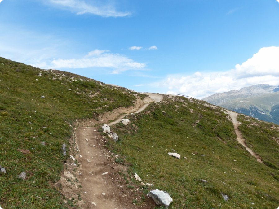p1020826.jpg