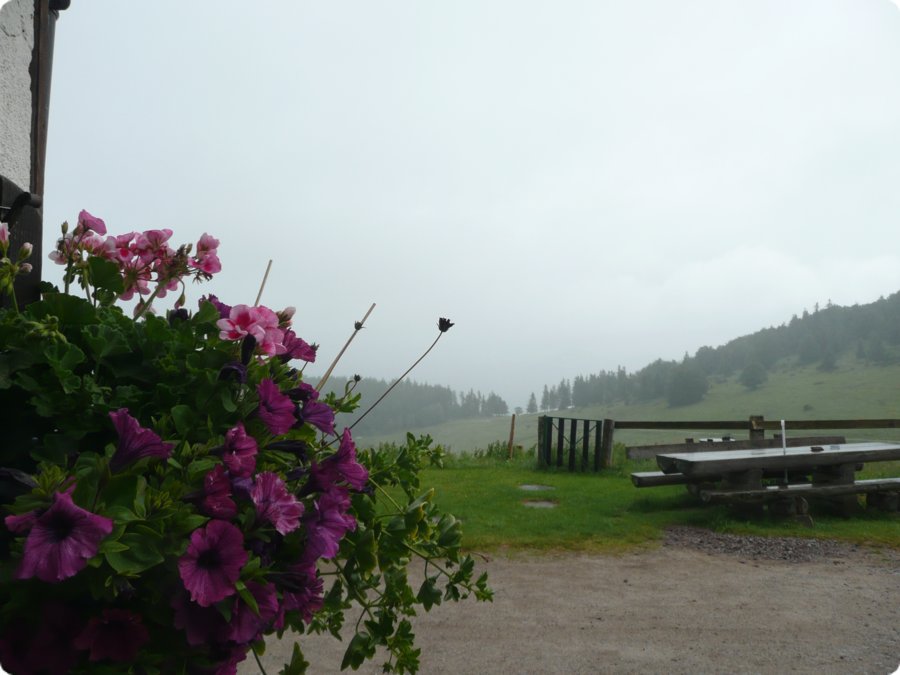 p1080536.jpg