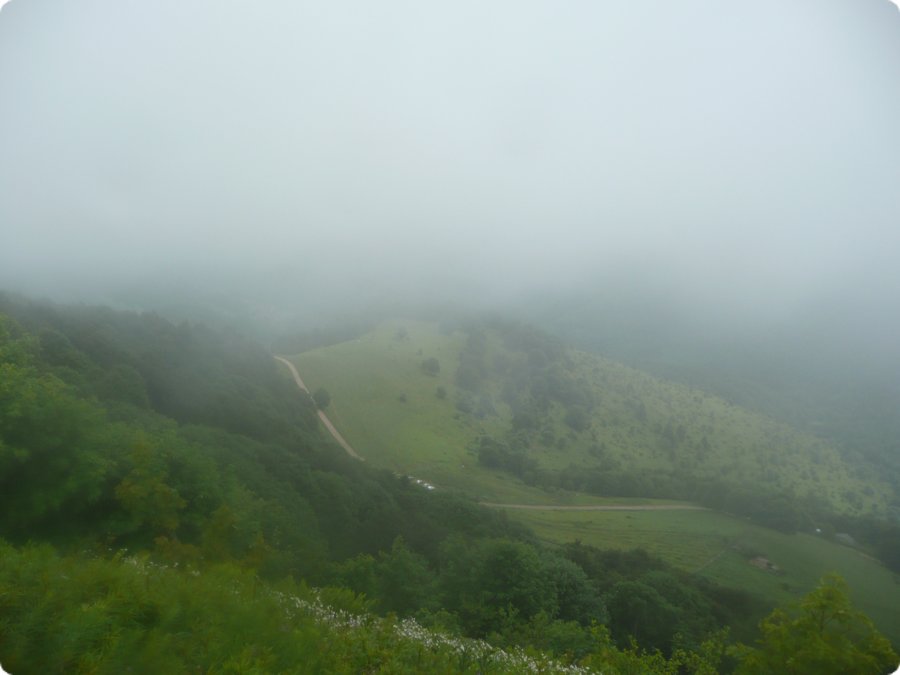p1080549.jpg