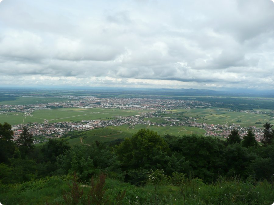 p1080557.jpg