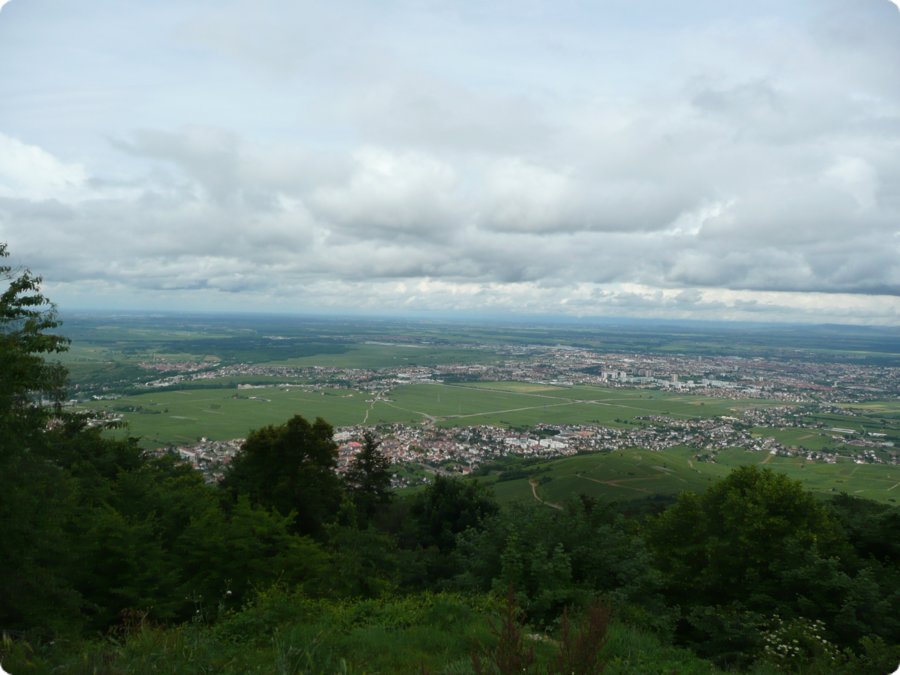 p1080558.jpg
