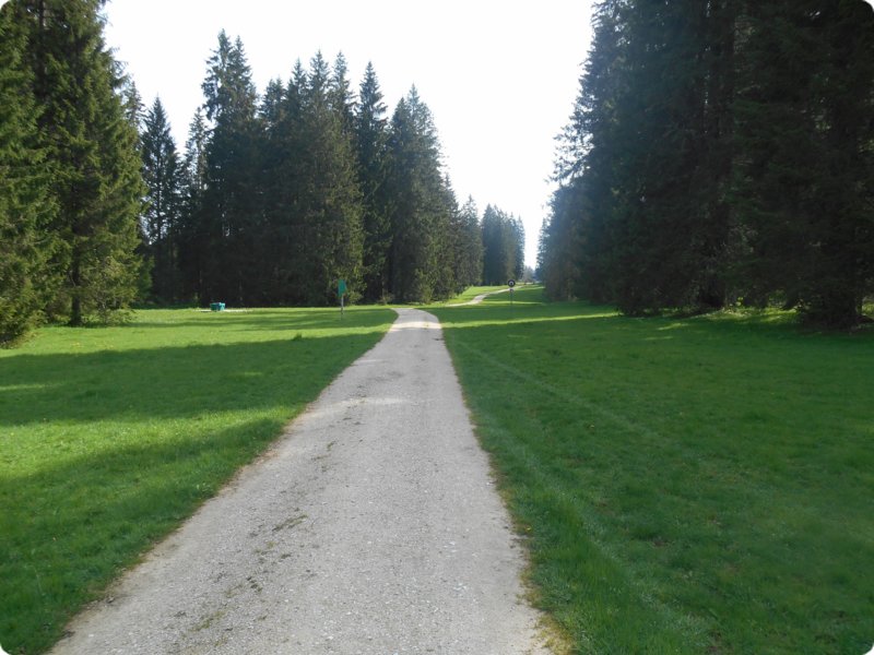46.jpg