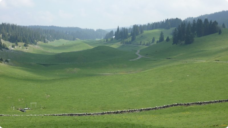 141.jpg