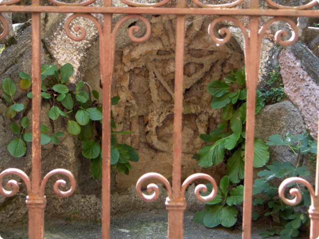 hpim0387.jpg
