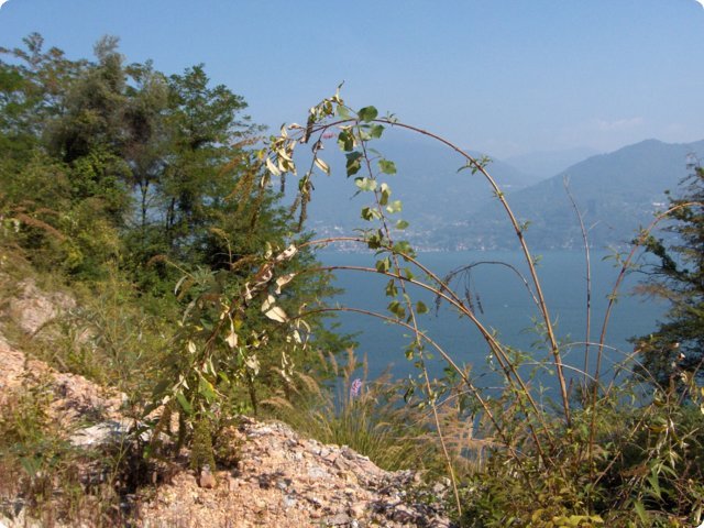 hpim0396.jpg