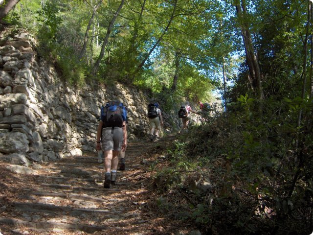 hpim0400.jpg