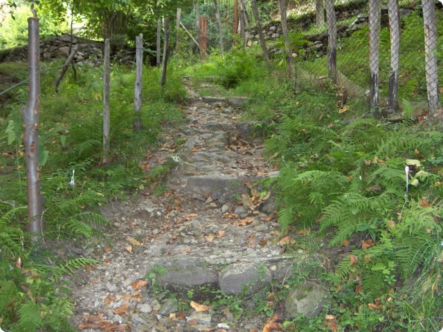 hpim0466.jpg