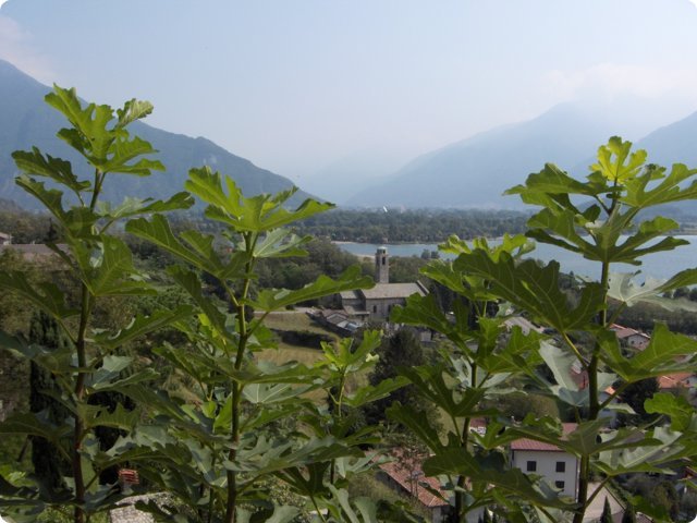 hpim0493.jpg