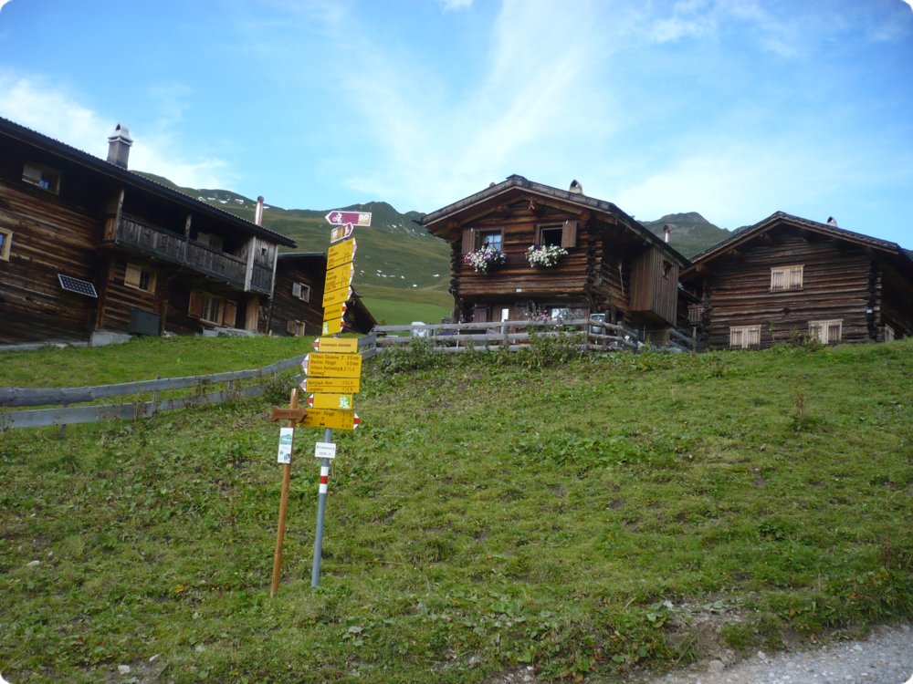 117.jpg