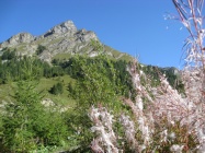 354.JPG